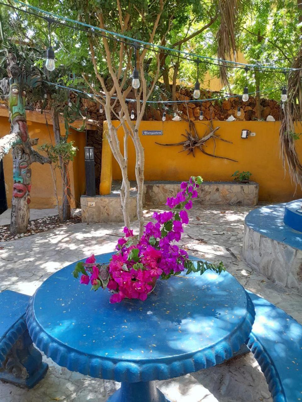 Steviewonderland Playa El Yaque Hotel Buitenkant foto
